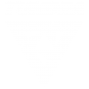 Gold Tundra Esports Team Sticker - TI 2022